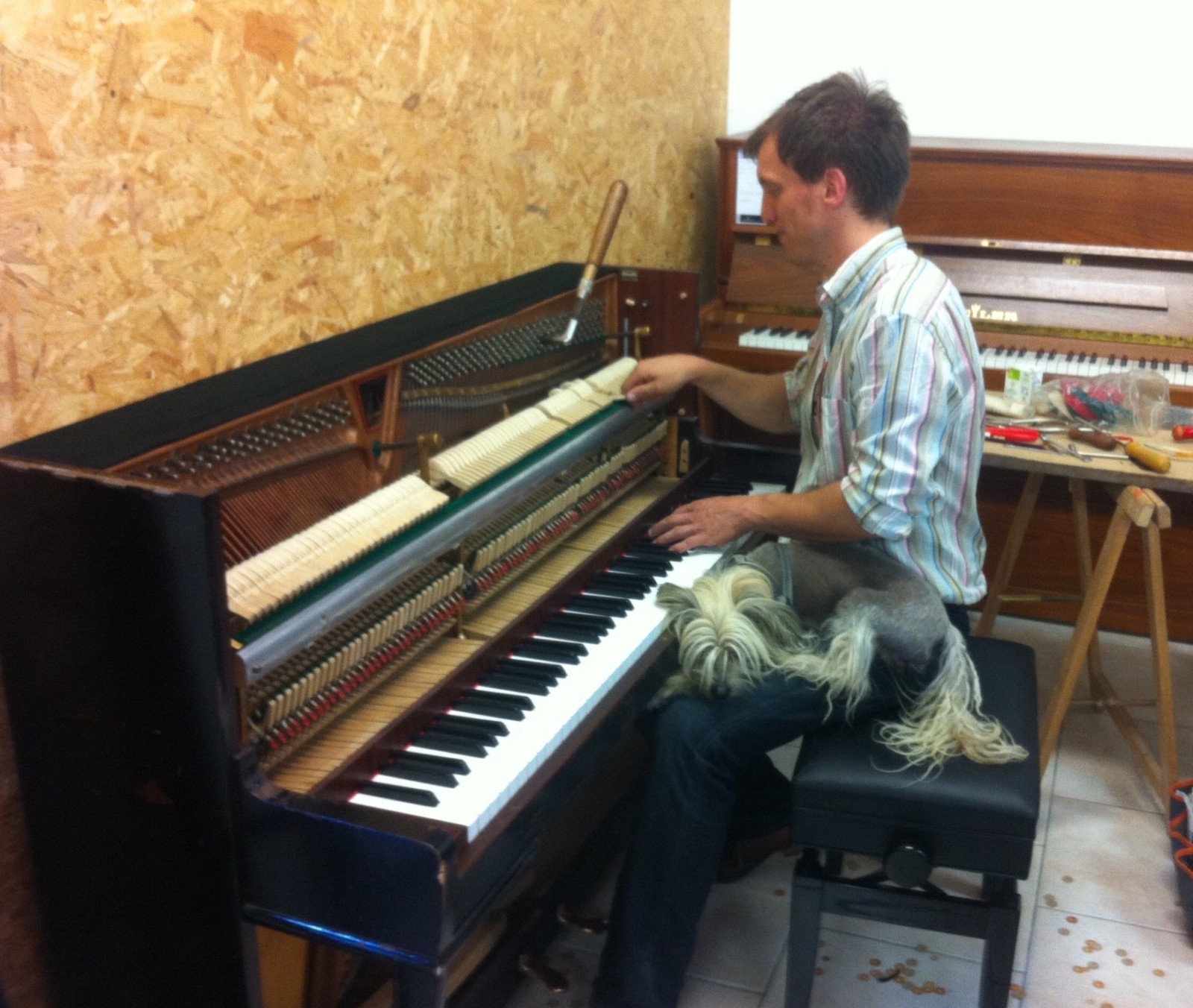 Achat de pianos Bechstein ou Euterpe près de Loudéac