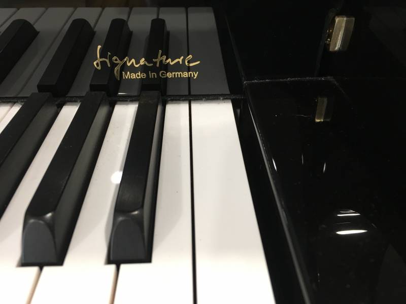 Finitions ebène poli, ebène poli silver, blanc poli, blanc poli silver