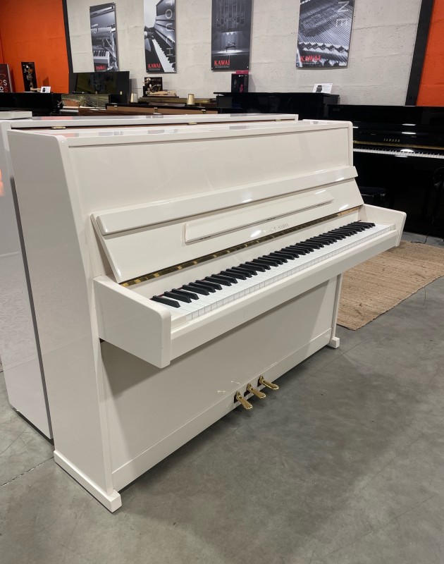 Acheter un piano d’occasion européen sur Nantes et Rennes